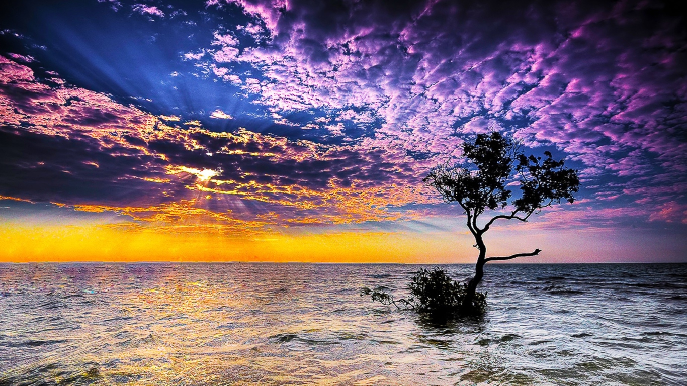 Magnificent Sunset On Sea screenshot #1 1366x768