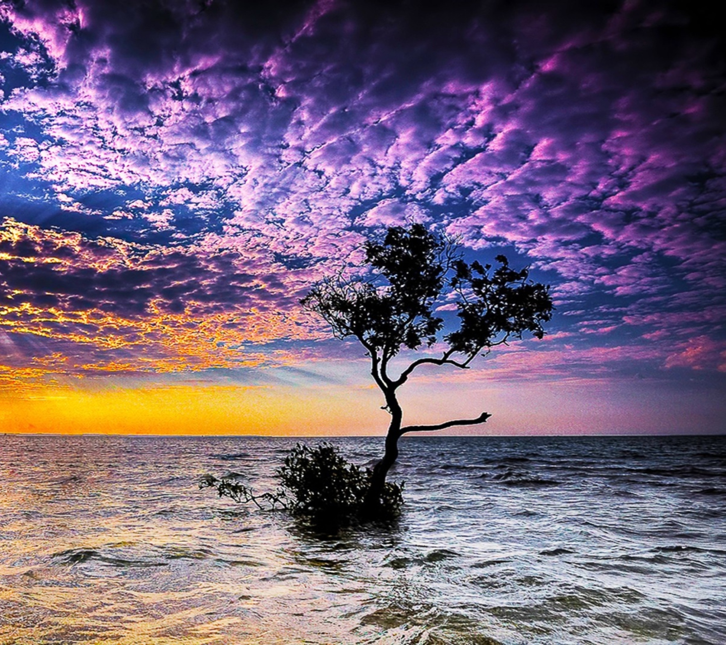 Magnificent Sunset On Sea screenshot #1 1440x1280