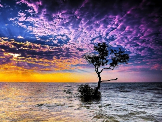 Обои Magnificent Sunset On Sea 320x240
