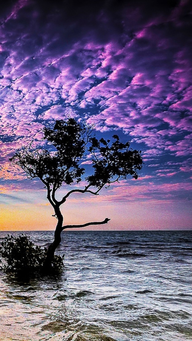 Magnificent Sunset On Sea screenshot #1 640x1136