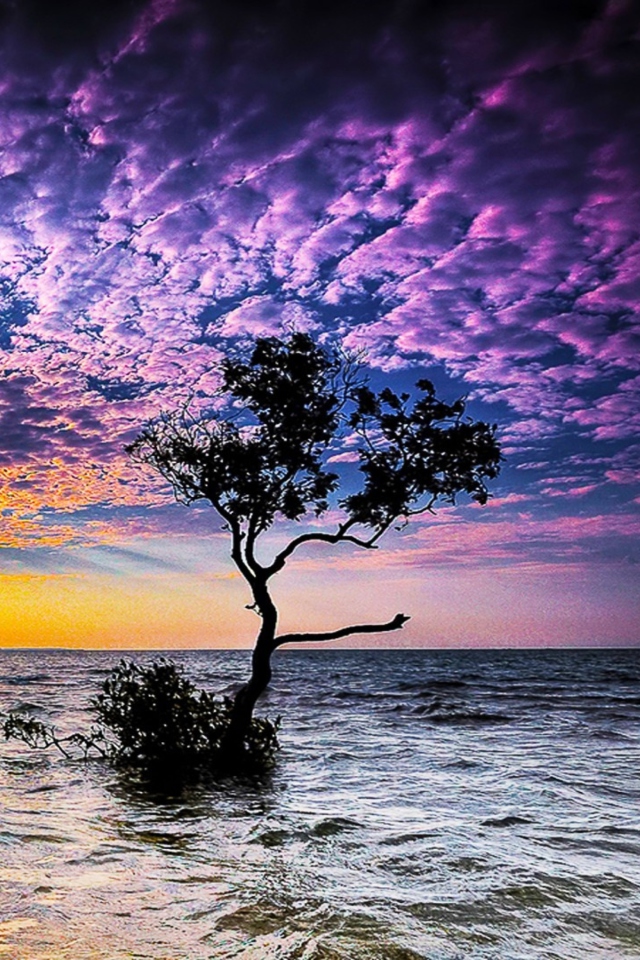 Fondo de pantalla Magnificent Sunset On Sea 640x960