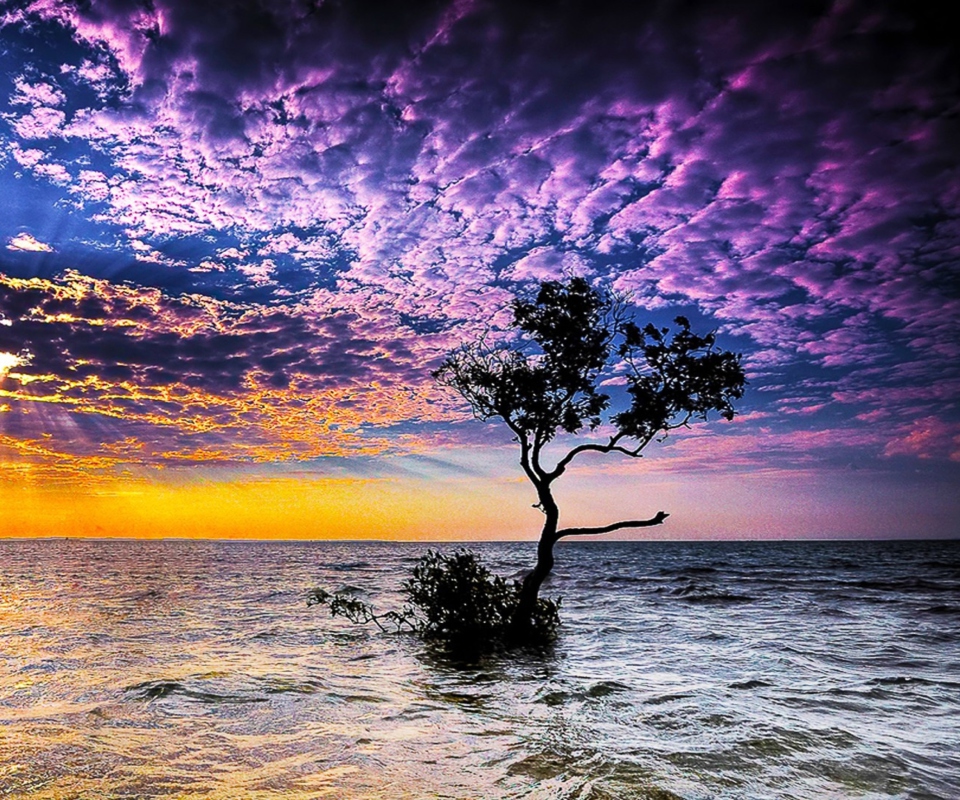 Magnificent Sunset On Sea screenshot #1 960x800