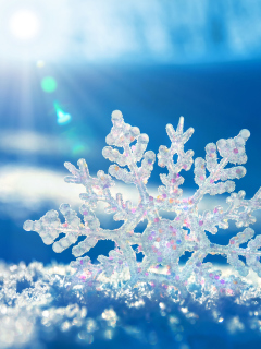 Sfondi Snowflake In Sunlight 240x320