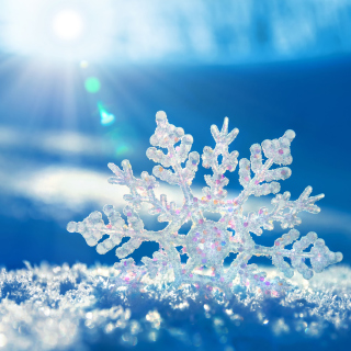 Snowflake In Sunlight sfondi gratuiti per iPad Air