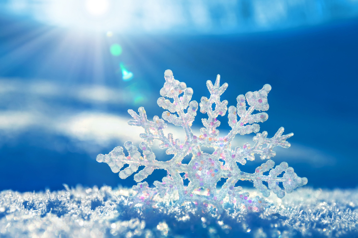 Snowflake In Sunlight wallpaper