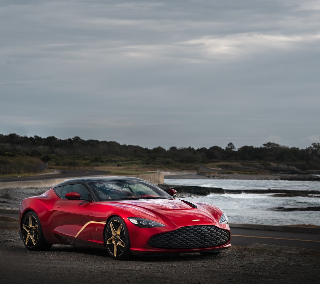 Aston Martin Dbs Gt Zagato screenshot #1 1080x960