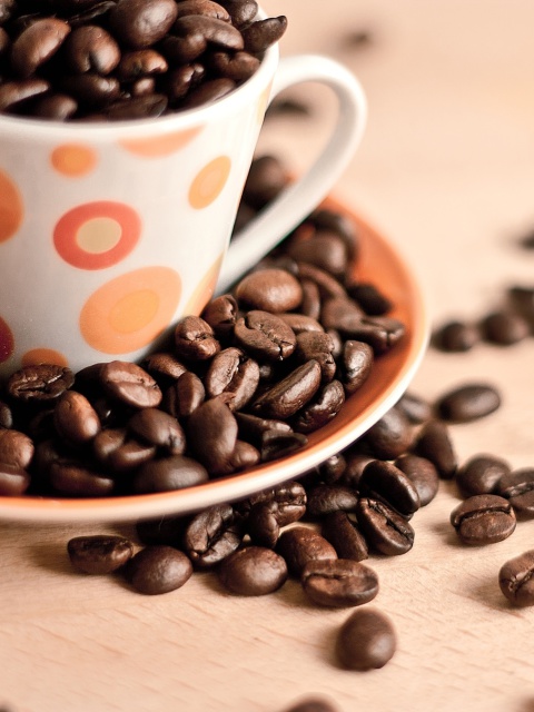 Fondo de pantalla Coffee beans 480x640