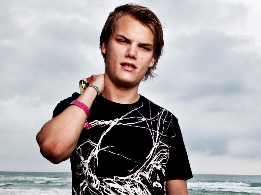 Avicii DJ screenshot #1 1024x768