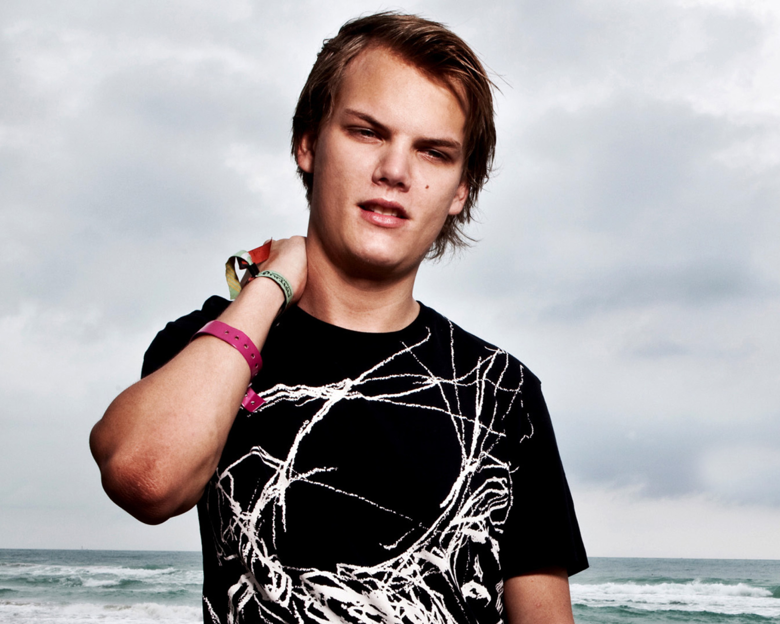 Screenshot №1 pro téma Avicii DJ 1600x1280