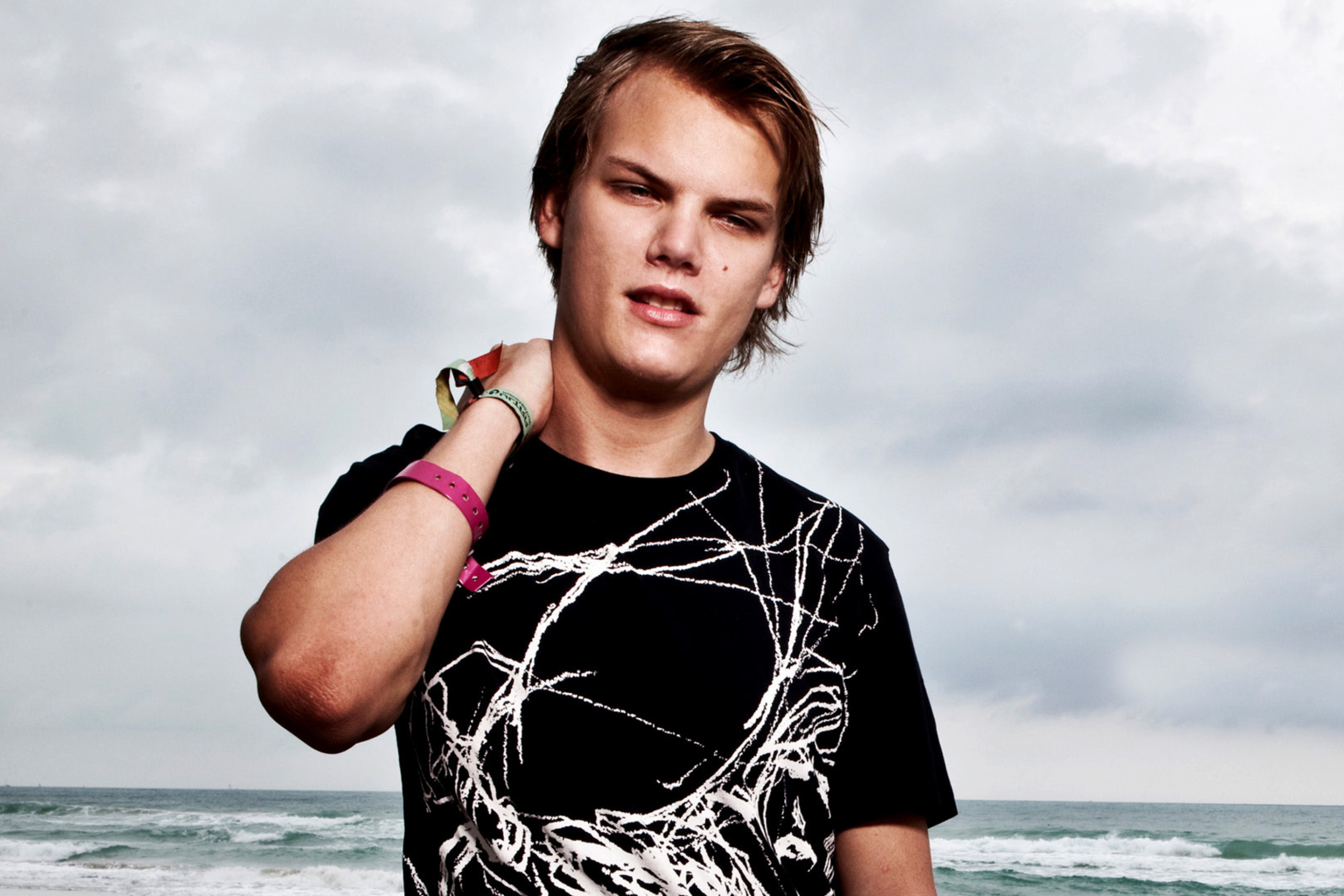 Screenshot №1 pro téma Avicii DJ 2880x1920