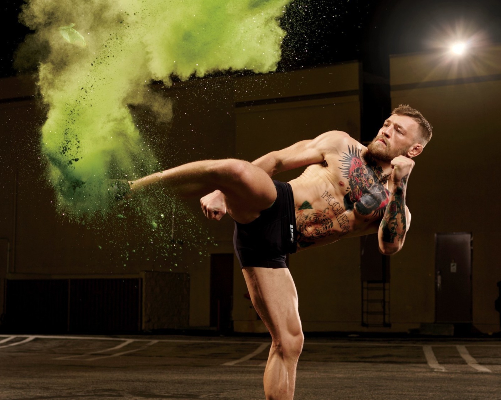 Das Conor McGregor MMA King Wallpaper 1600x1280