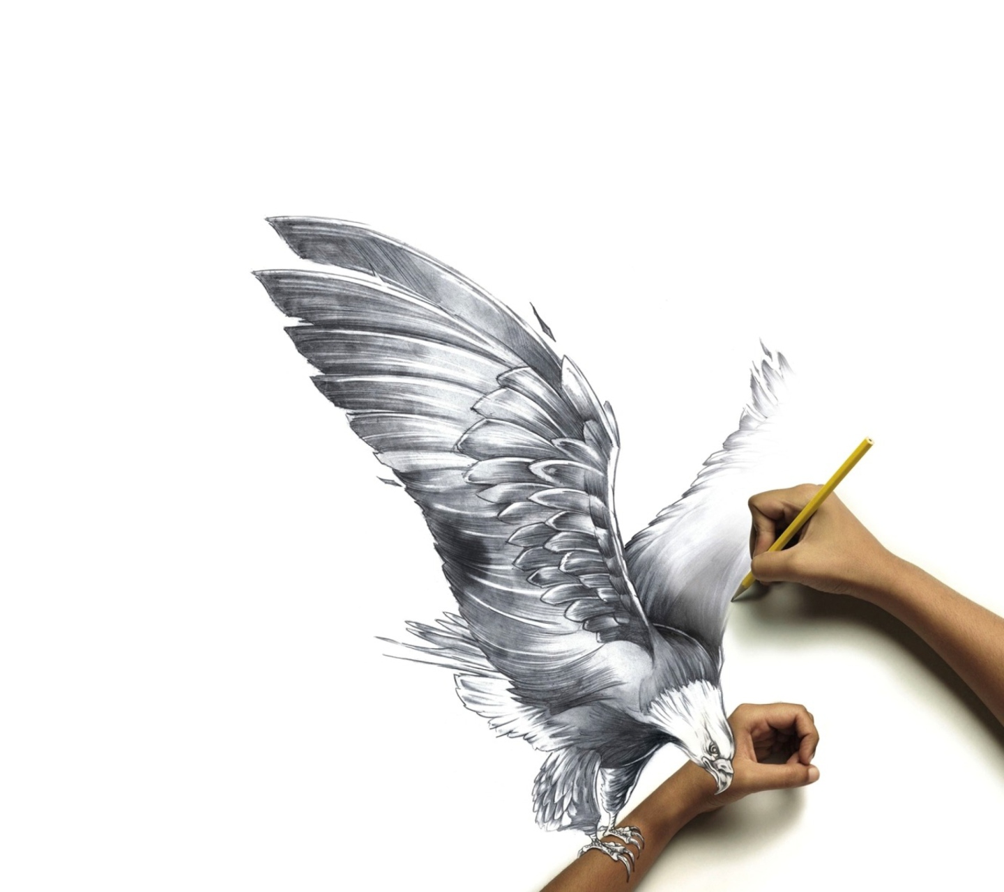 Обои Drawing An Eagle 1440x1280