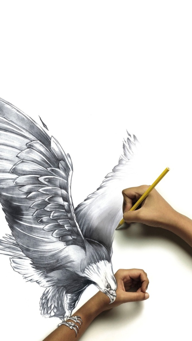 Обои Drawing An Eagle 640x1136