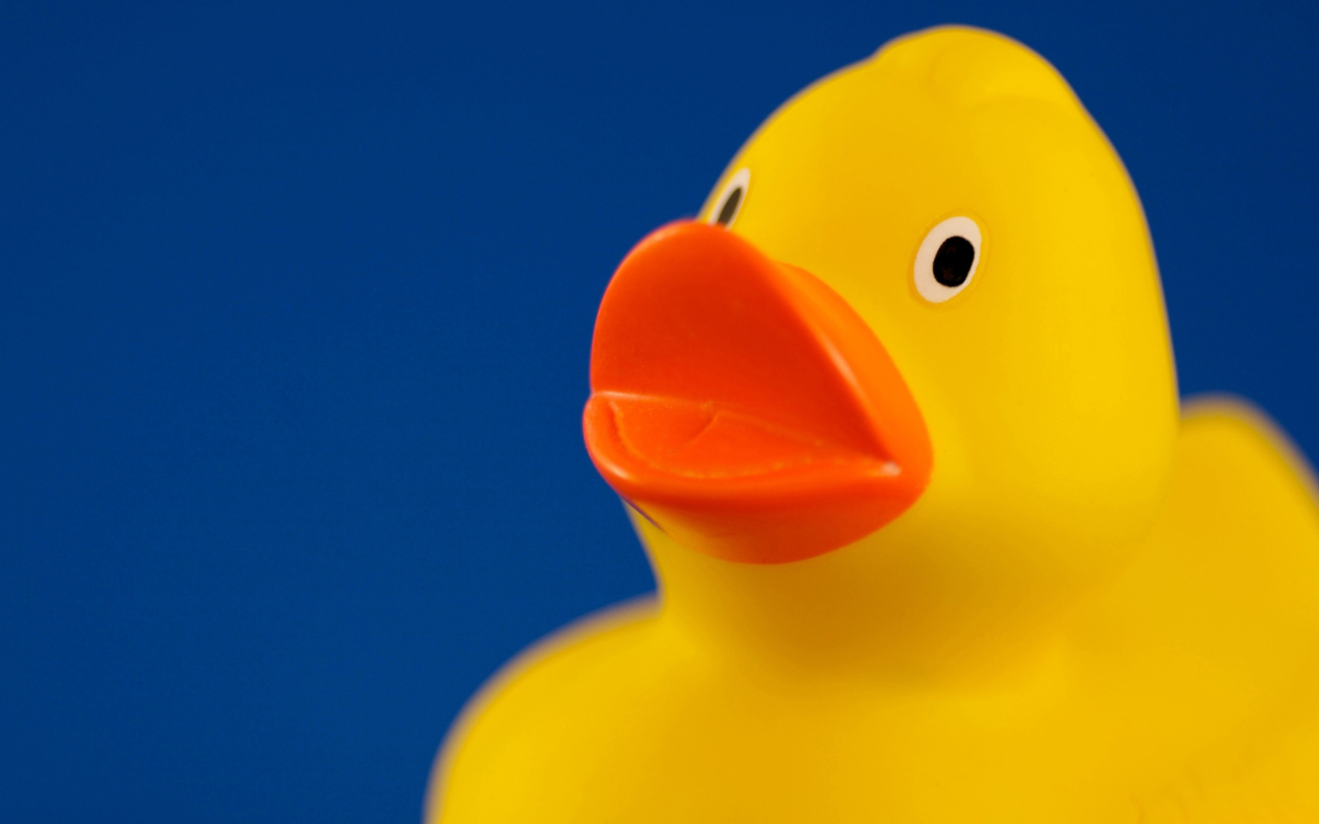 Yellow Duck wallpaper 1920x1200