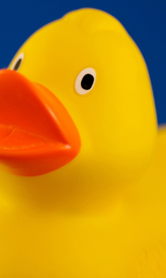 Обои Yellow Duck 240x400