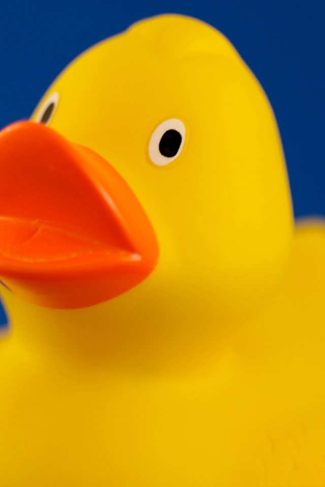 Обои Yellow Duck 640x960
