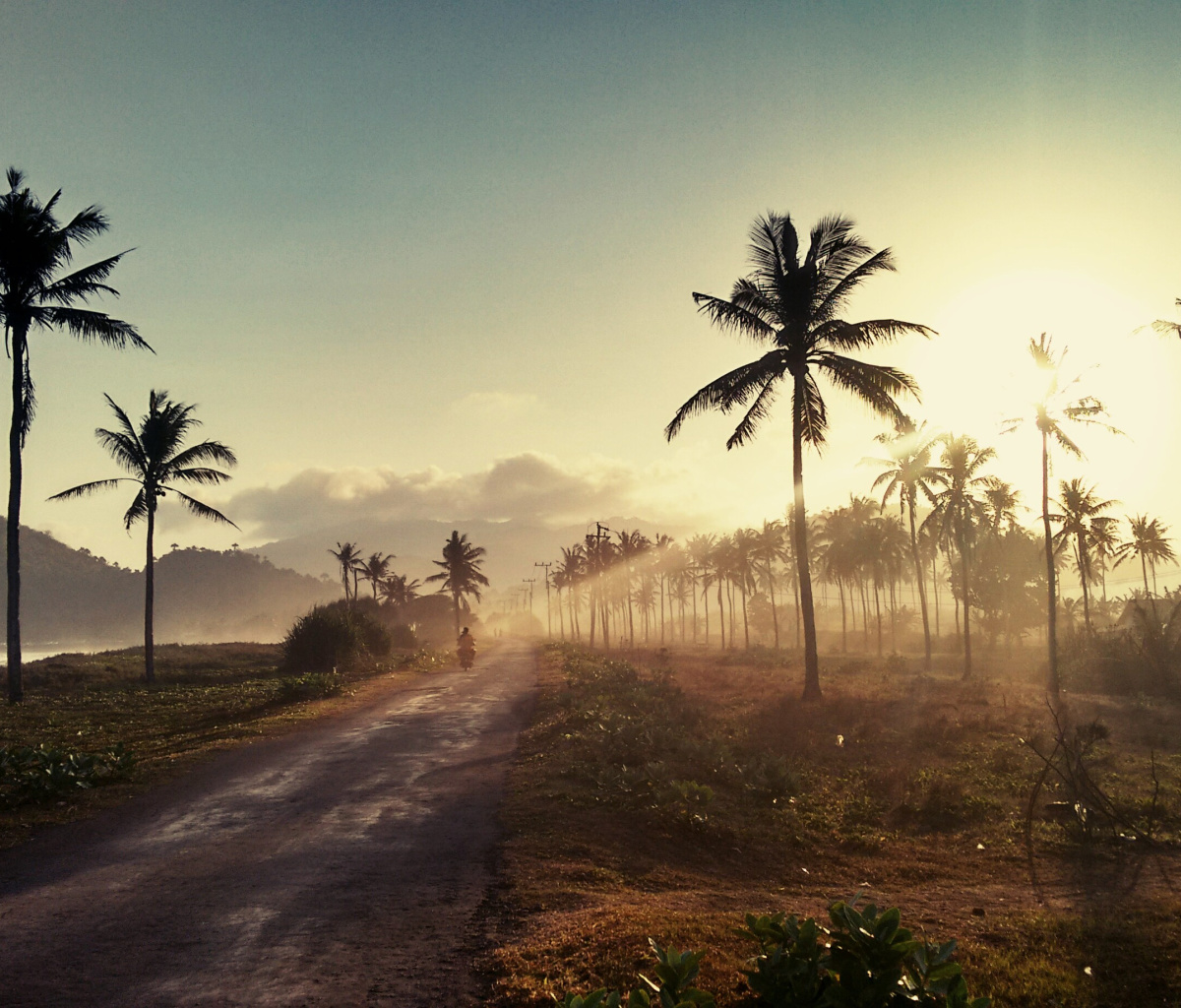 Hills with Palms wallpaper 1200x1024