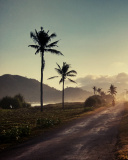 Fondo de pantalla Hills with Palms 128x160