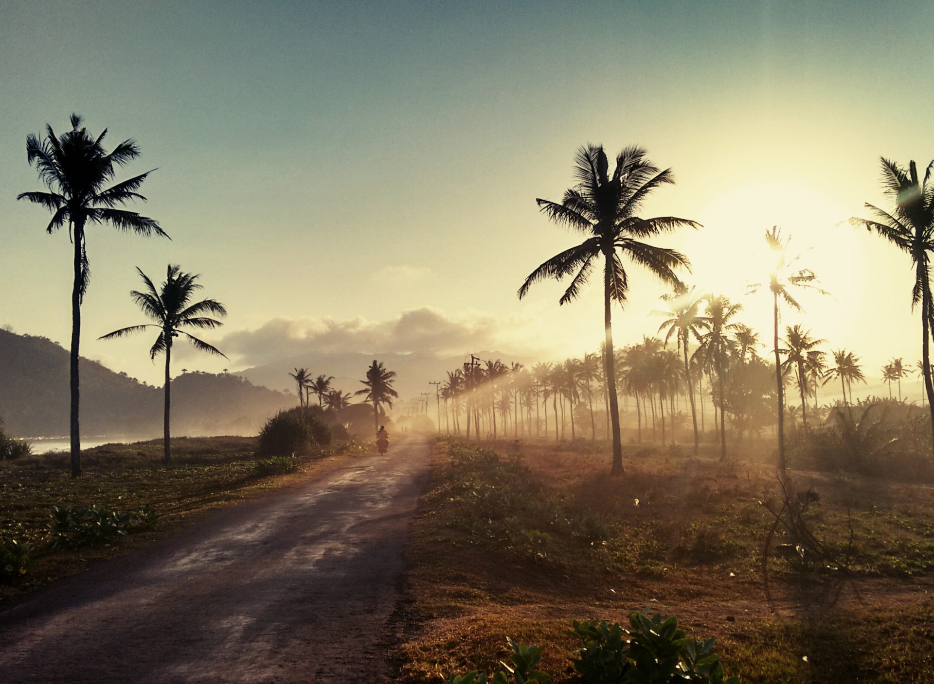 Hills with Palms wallpaper 1920x1408