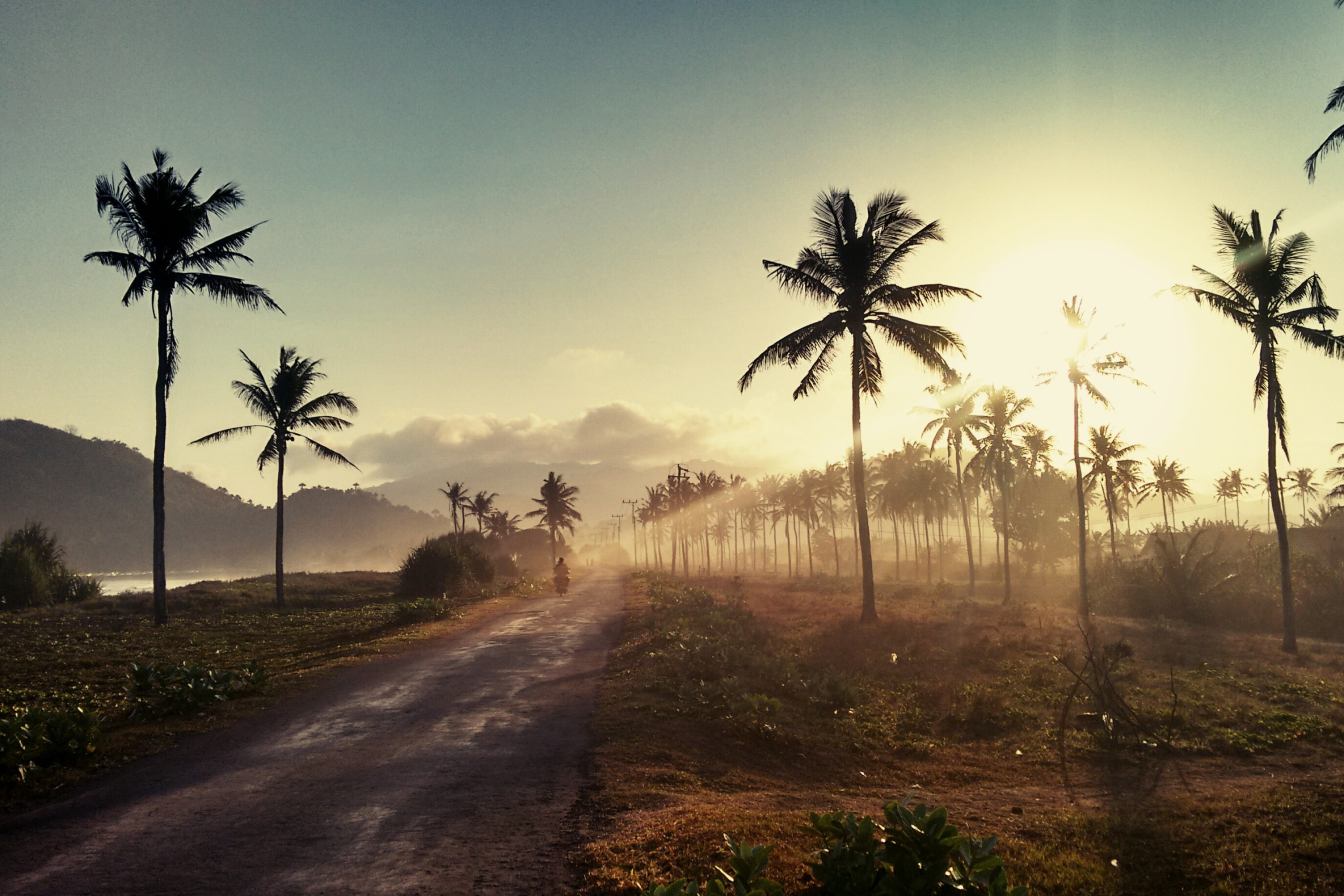 Fondo de pantalla Hills with Palms 2880x1920