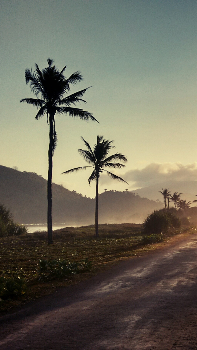 Hills with Palms wallpaper 640x1136