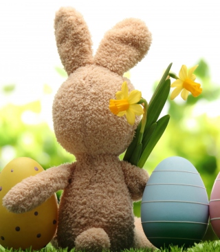 Easter Rabbit - Obrázkek zdarma pro iPhone 5