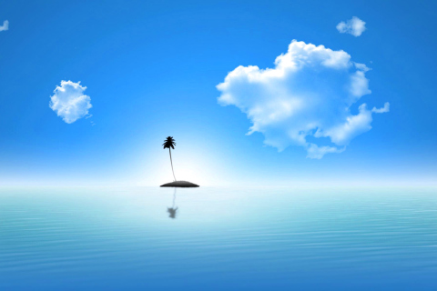 Fondo de pantalla Lonely Palm Tree Island 480x320