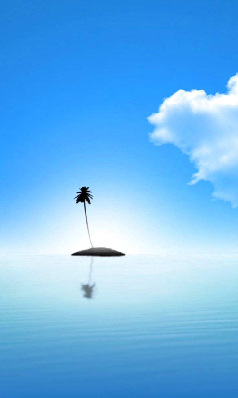 Fondo de pantalla Lonely Palm Tree Island 768x1280