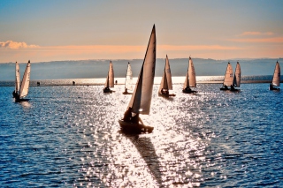 Sailing Boats - Obrázkek zdarma pro Nokia C3
