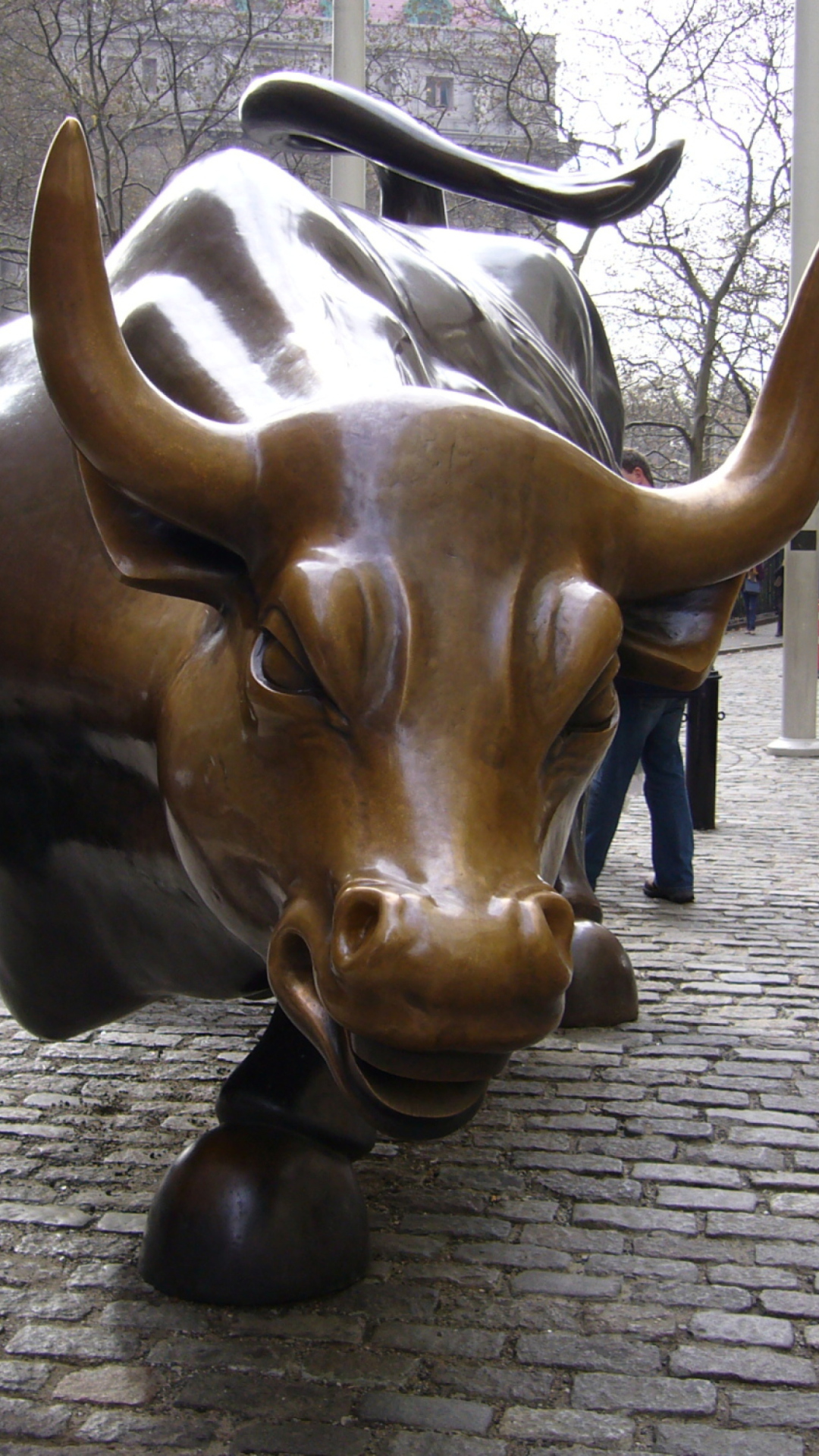 Screenshot №1 pro téma The Wall Street Bull 1080x1920
