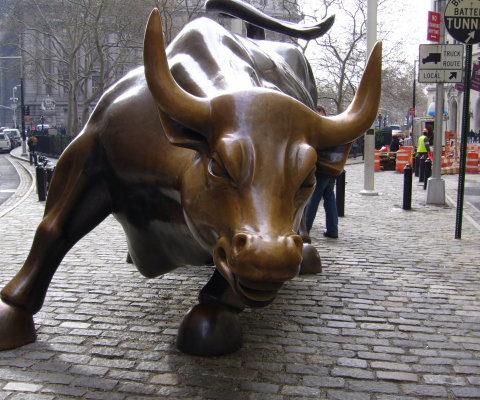 The Wall Street Bull wallpaper 480x400