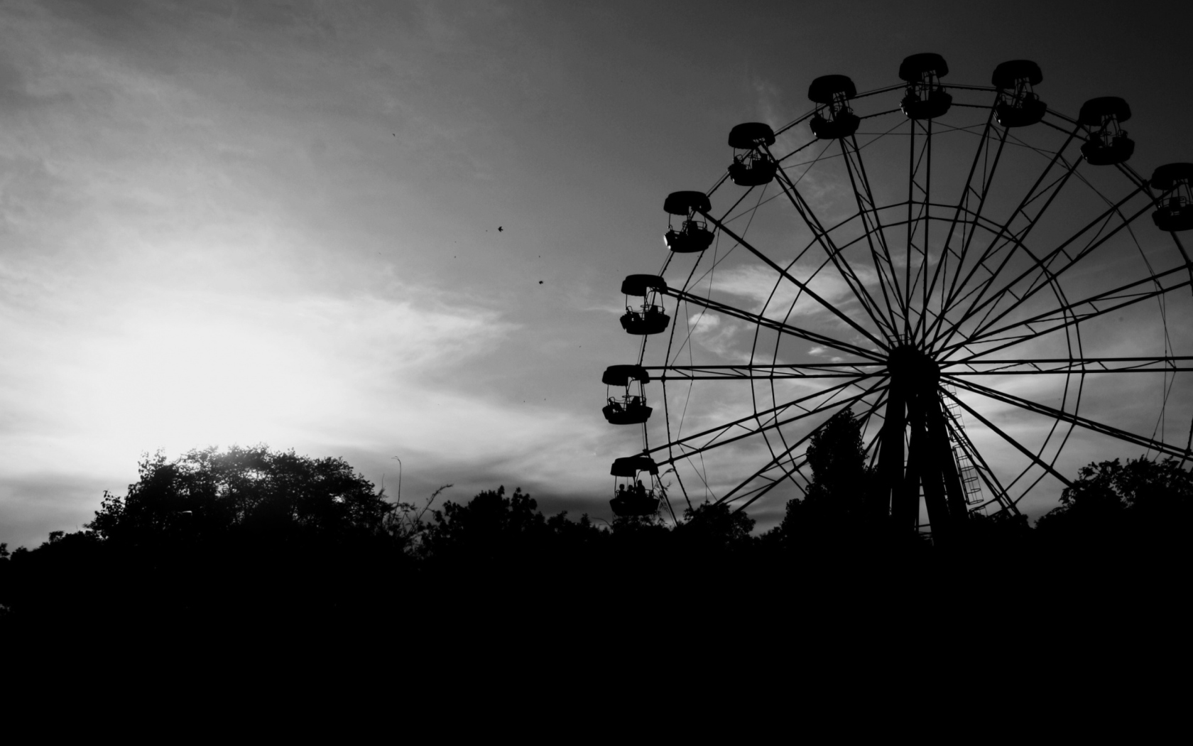 Fondo de pantalla Ferris Wheel In Black And White 1680x1050