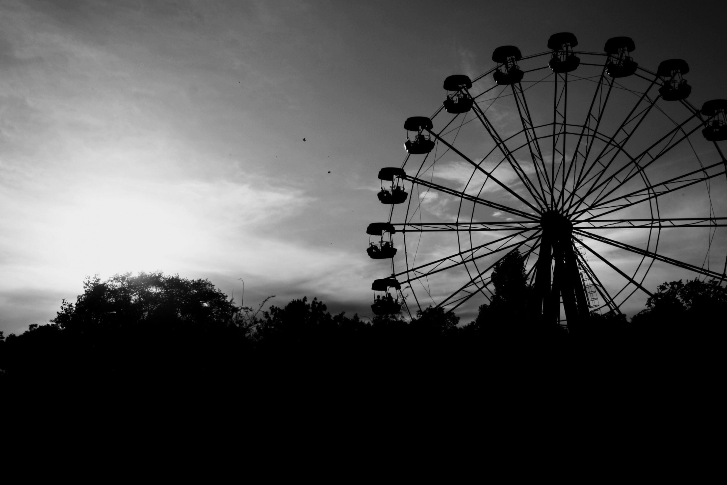 Screenshot №1 pro téma Ferris Wheel In Black And White 2880x1920