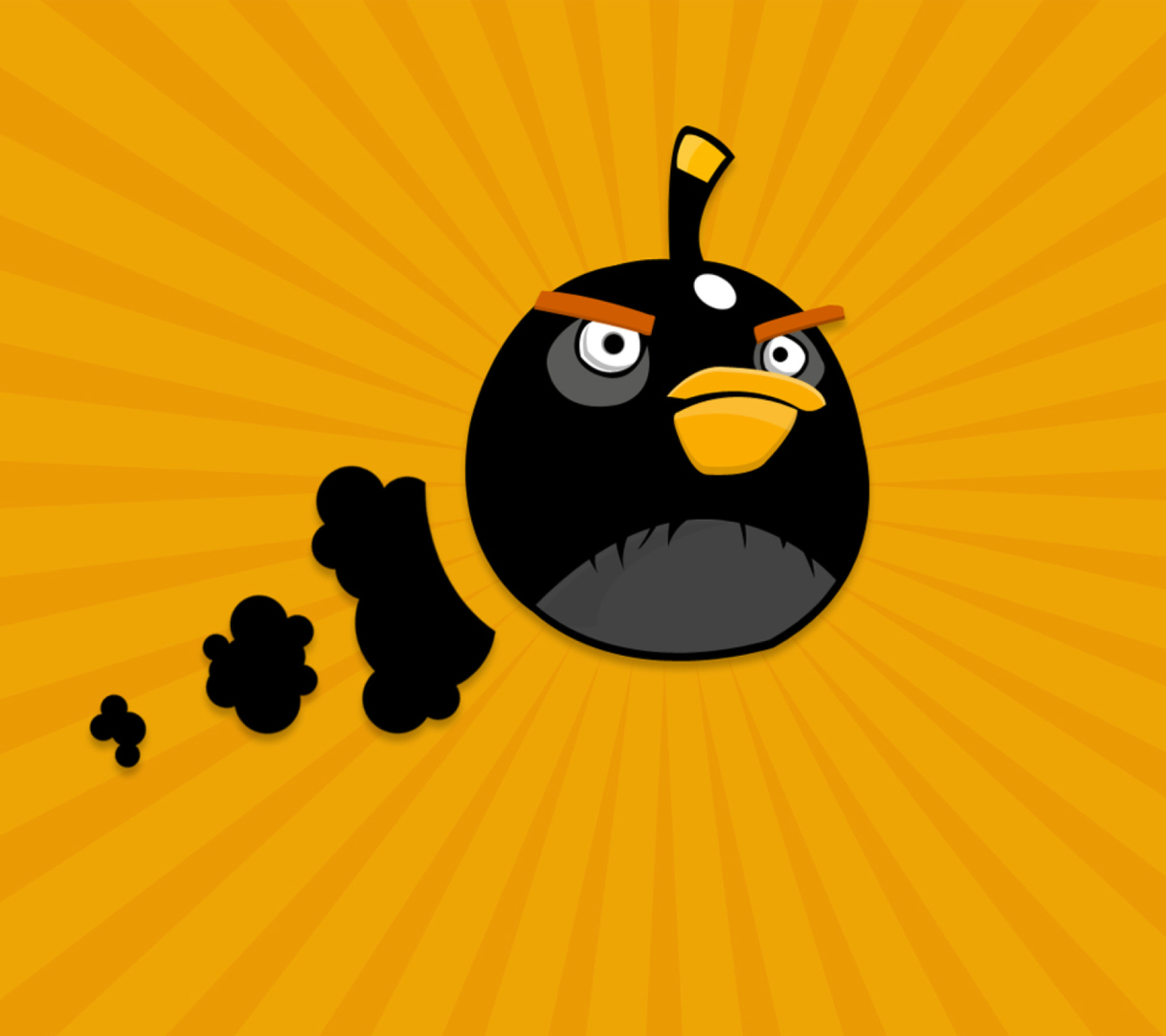 Black Angry Birds wallpaper 1440x1280