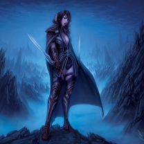 Das Fantasy Warrior Girl Wallpaper 208x208