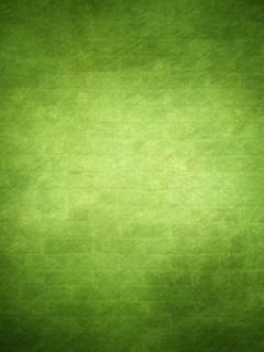 Screenshot №1 pro téma Green Texture 240x320