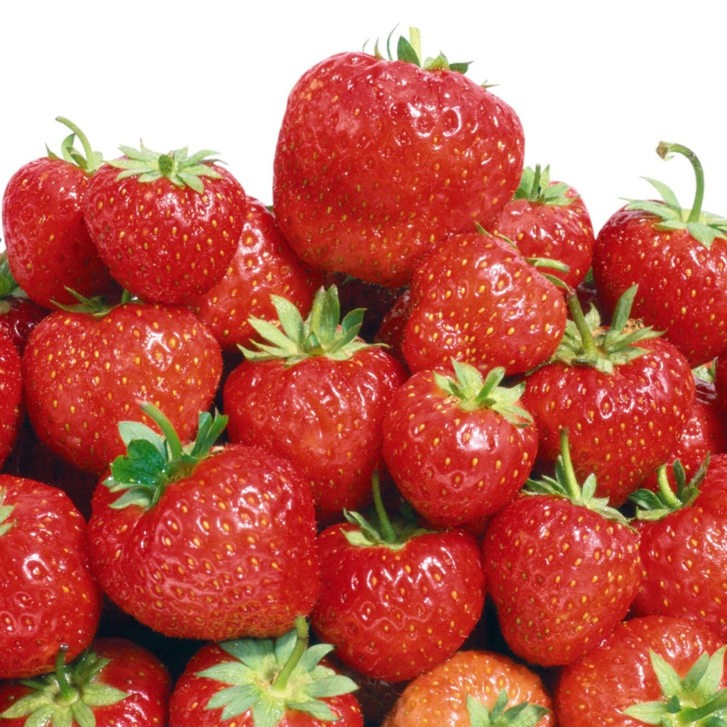 Red Strawberries wallpaper 1024x1024
