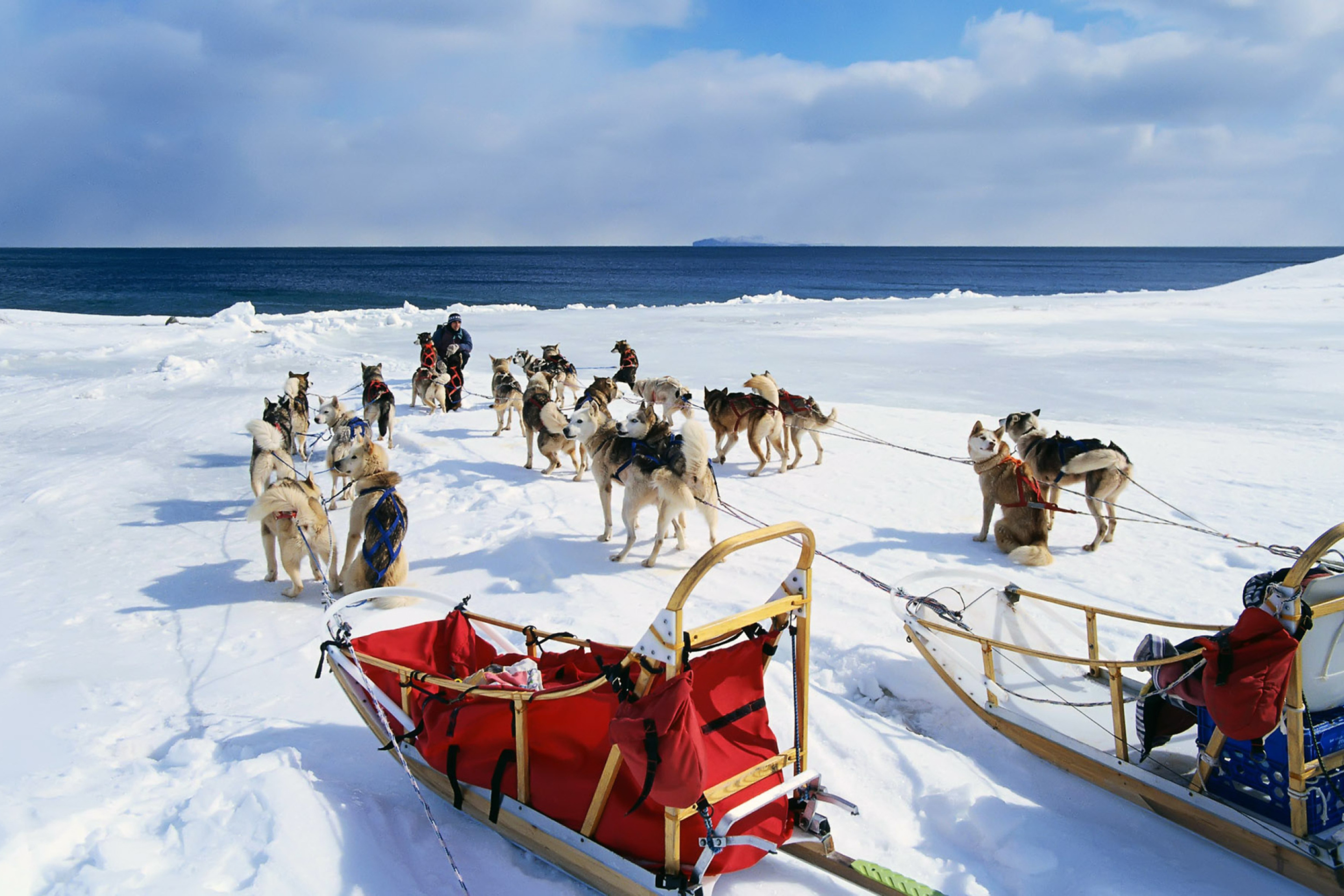 Screenshot №1 pro téma Alaska Dog Sleds 2880x1920