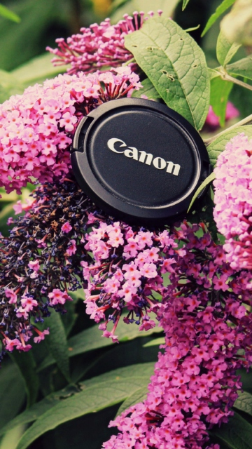 Canon Cap wallpaper 360x640