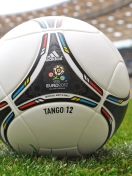 Uefa Euro 2012 Poland Ukrain Tango Ball screenshot #1 132x176