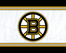 Fondo de pantalla Boston Bruins NHL 220x176