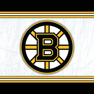 Kostenloses Boston Bruins NHL Wallpaper für iPad 2