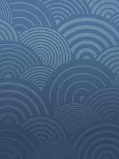 Blue Circles screenshot #1 240x320