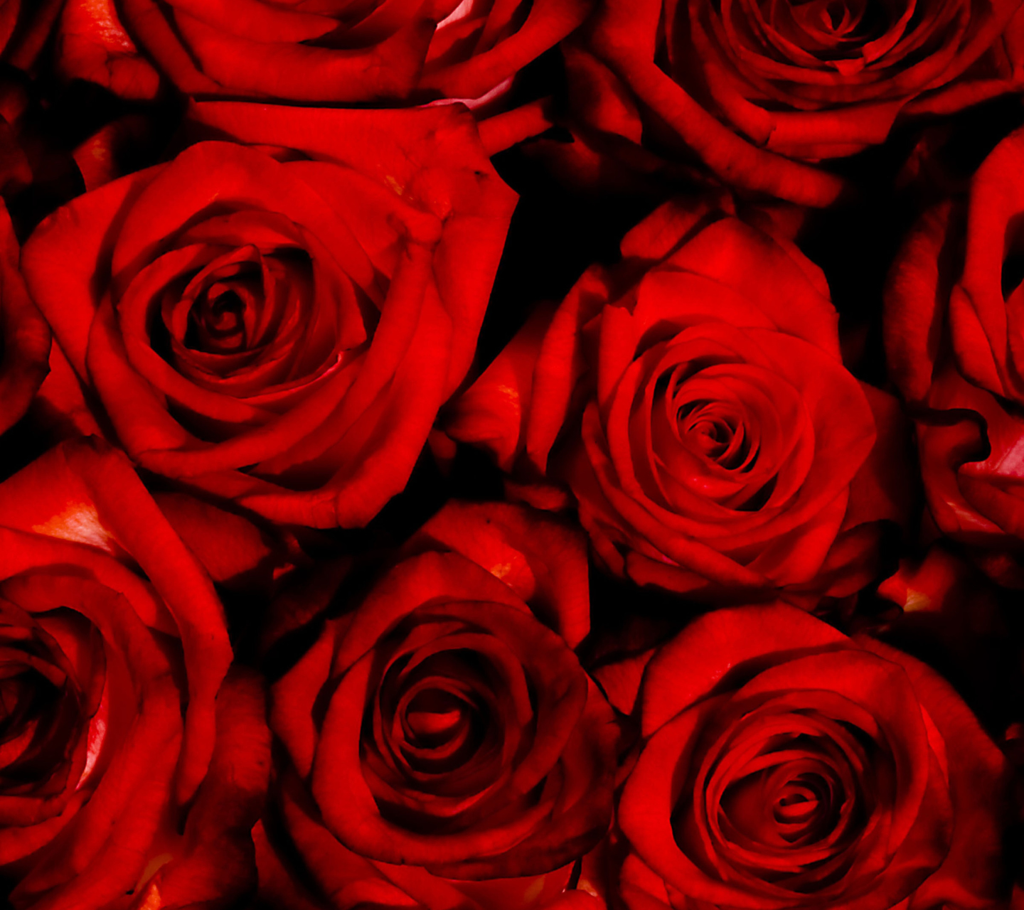 Обои Red Flowers Of Love 1440x1280