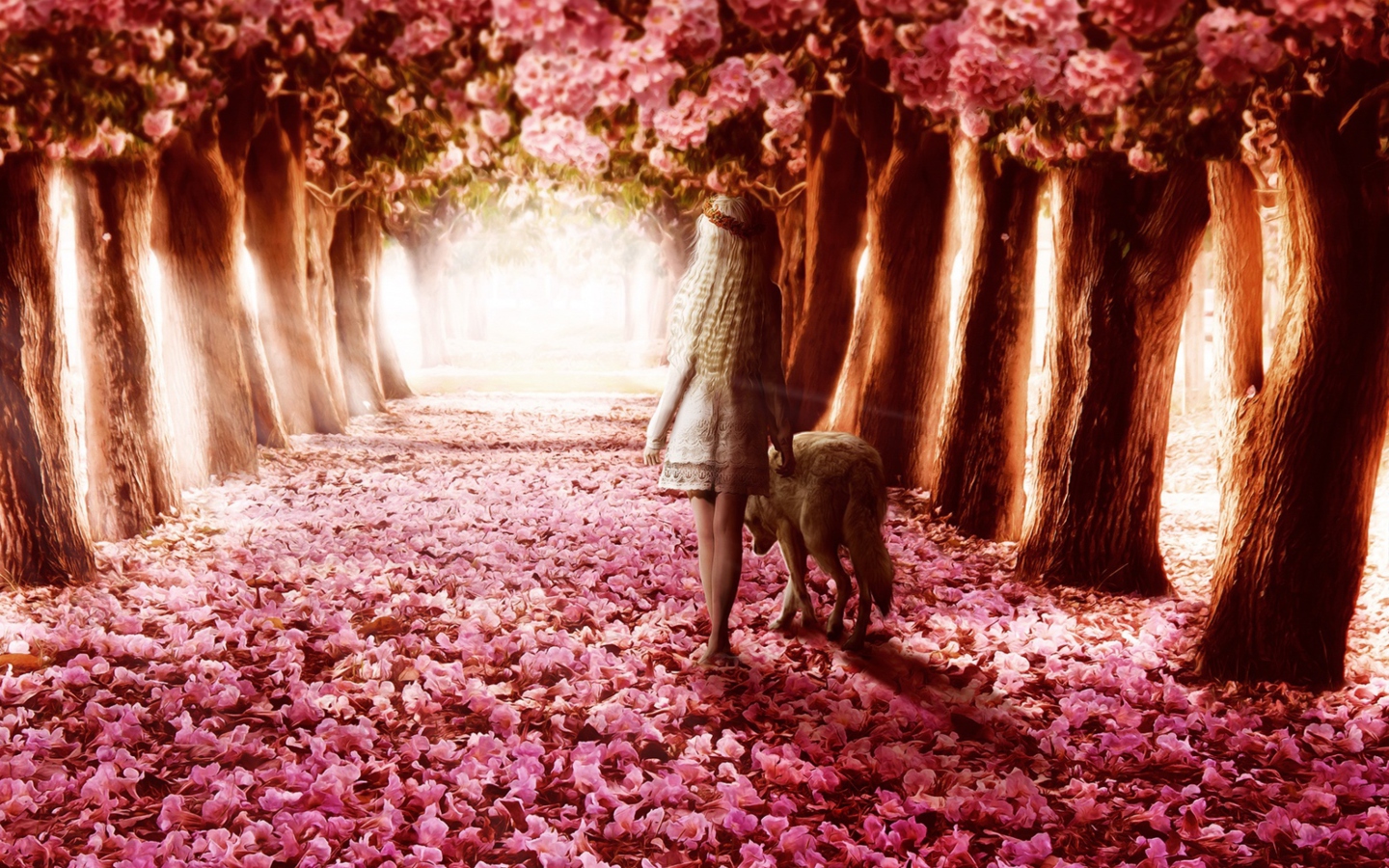 Fondo de pantalla Flower Forest 1440x900