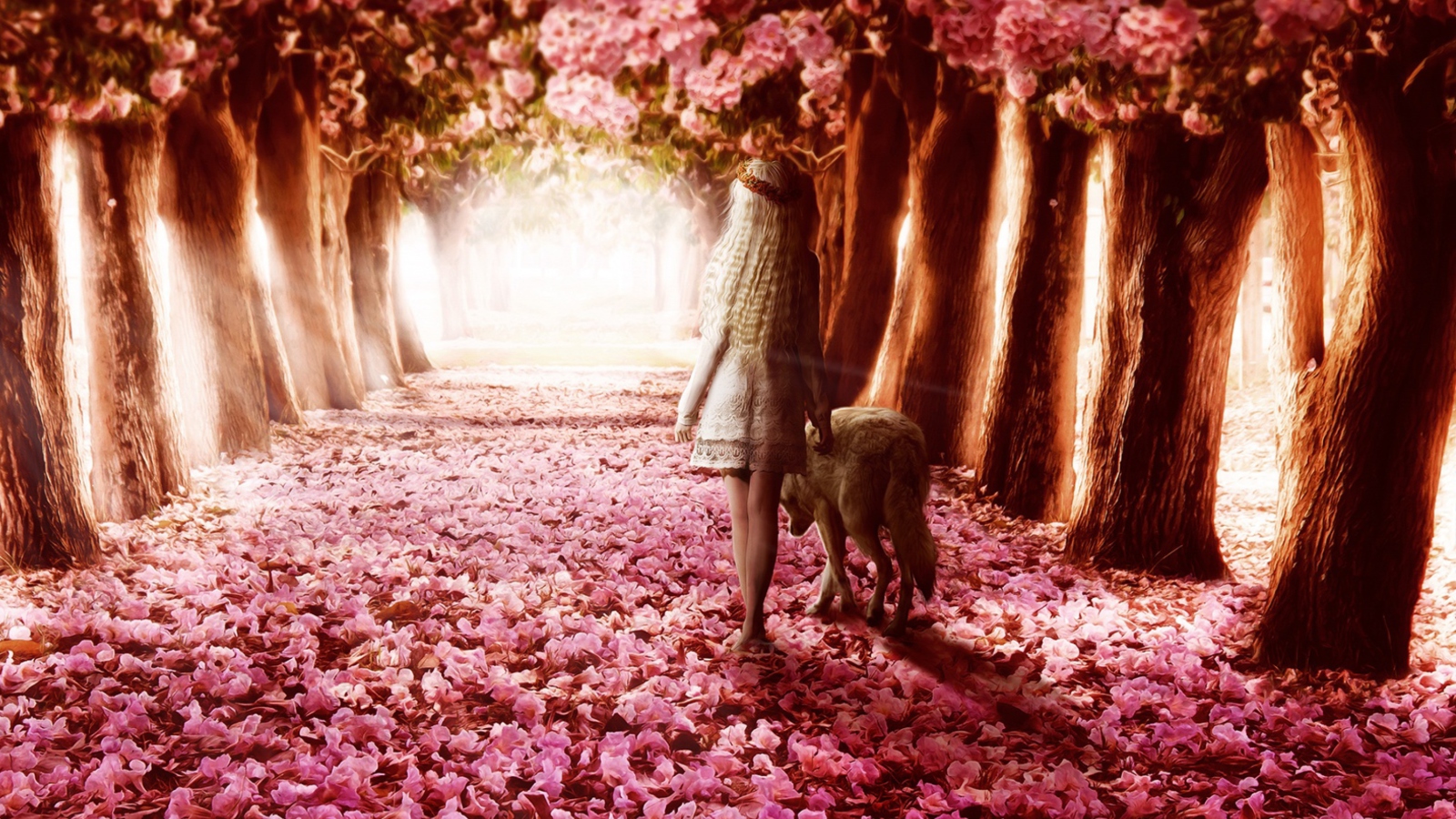 Fondo de pantalla Flower Forest 1600x900