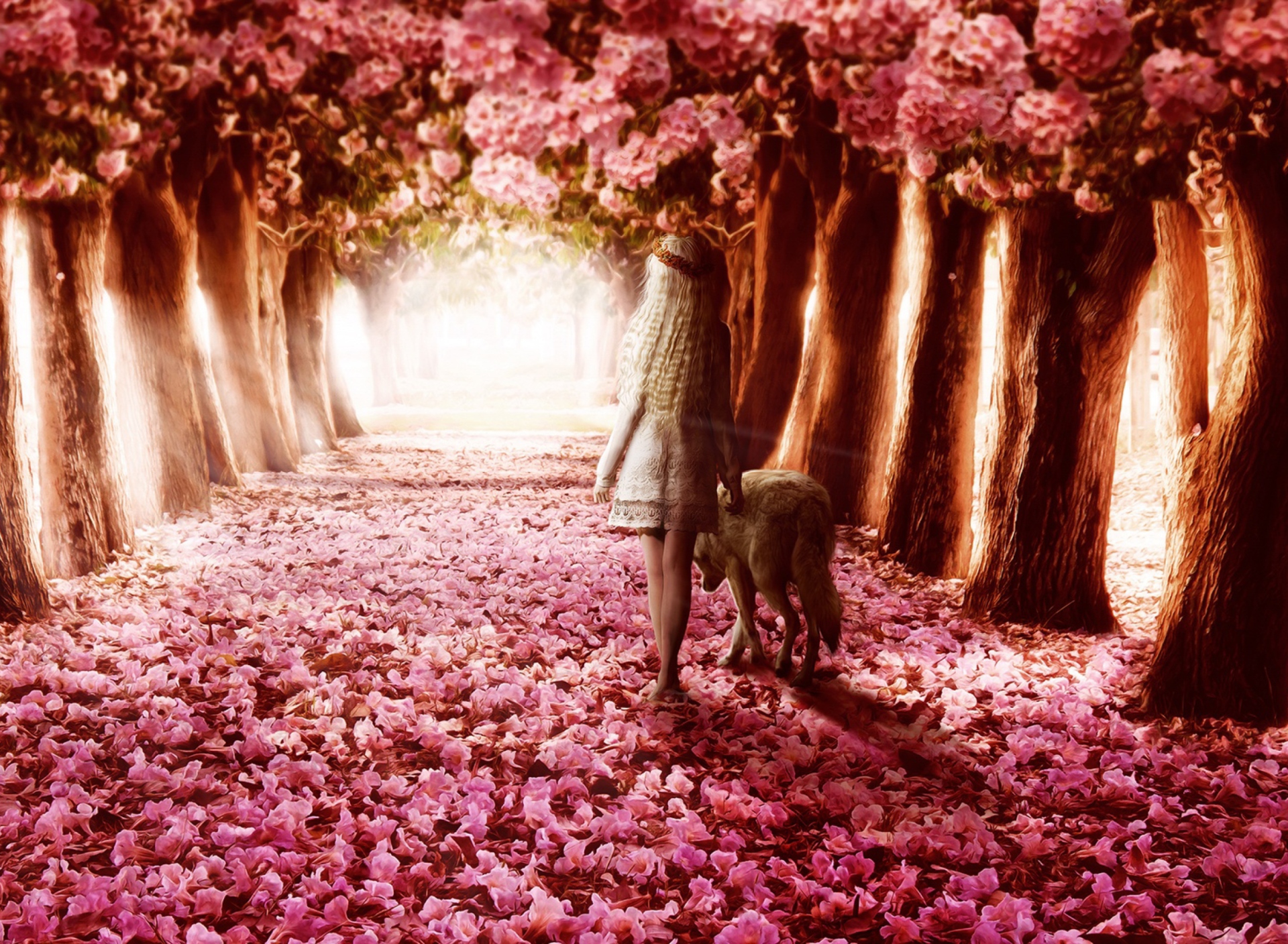 Flower Forest wallpaper 1920x1408