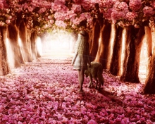 Fondo de pantalla Flower Forest 220x176