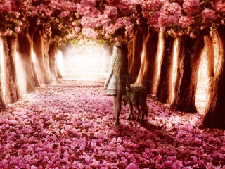 Das Flower Forest Wallpaper 320x240