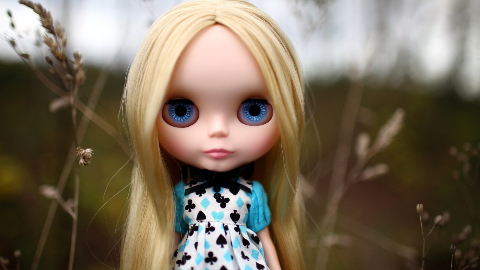 Обои Blonde China Doll With Blue Eyes 1600x900